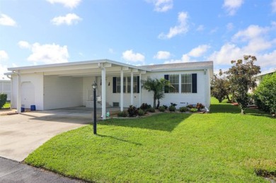 (private lake, pond, creek) Home For Sale in Punta Gorda, Florida