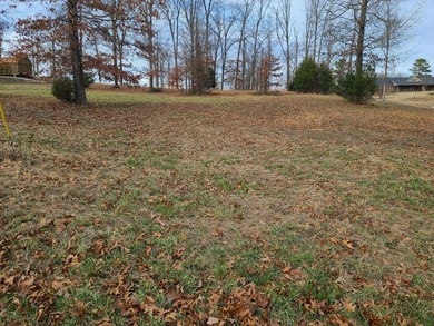 Kentucky Lake Lot For Sale in Big Sandy Tennessee