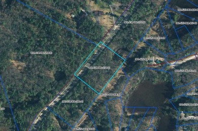 Lake Acreage For Sale in Lewiston, Michigan