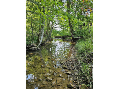 Lake Acreage For Sale in Greenville, West Virginia