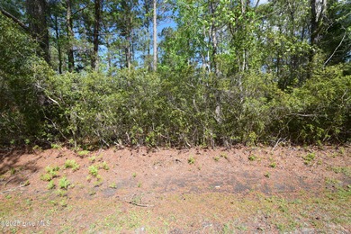 Neuse River Lot For Sale in New Bern North Carolina