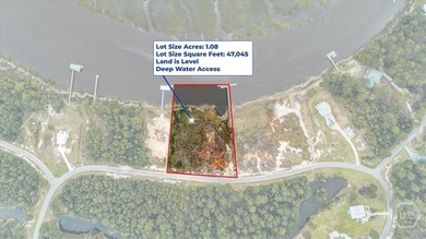 (private lake, pond, coastal) Lot For Sale in Midway Georgia