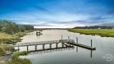 Welcome to Dolphin Island Community. Here's a Great Opportunity - photo 7