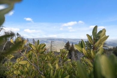 Featuring sweeping views of both the Monterey Bay and the San - photo 6