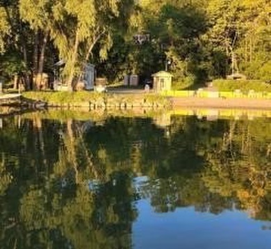 With 225 sites at Cokato Lake and this one located near the lake - photo 18