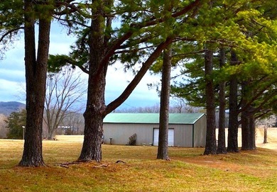 10-acre Lakefront Estate where nothing stands between you and - photo 19