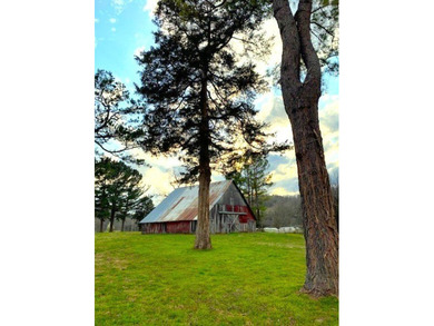 10-acre Lakefront Estate where nothing stands between you and - photo 20