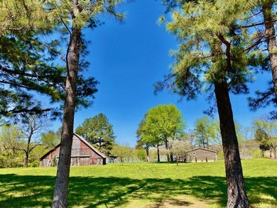 10-acre Lakefront Estate where nothing stands between you and - photo 22