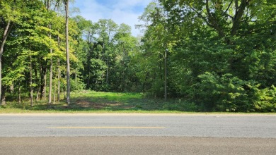 Fish Lake - Barry County Lot For Sale in Delton Michigan