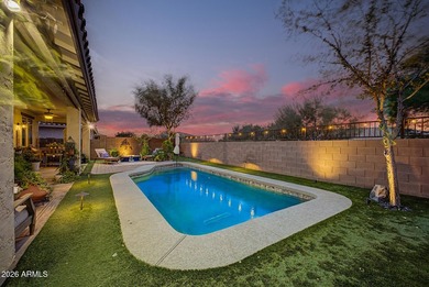 PROPERTY AMENITIES: Pool chiller system (2021), pool heater - photo 50