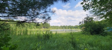 Lake Acreage Sale Pending in Baldwin, Michigan