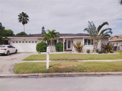 Keene Lake Home Sale Pending in Clearwater Florida