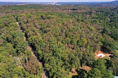 Lot 25: Wooded lot 100' X 205' lot in Riverview subdivision in - photo 1