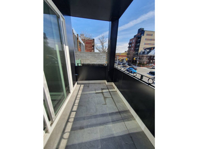 Beautiful fully renovated, detached 3-family home offering - photo 8