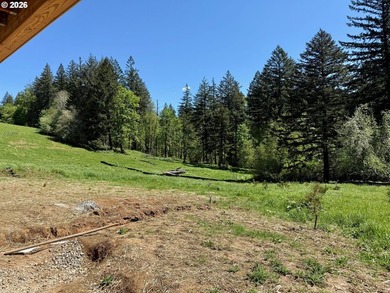 New Construction on a 38-acre ranch with the potential to expand - photo 12