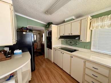 Welcome to this charming 2-bedroom, 2-bathroom manufactured home - photo 17