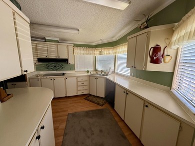 Welcome to this charming 2-bedroom, 2-bathroom manufactured home - photo 18