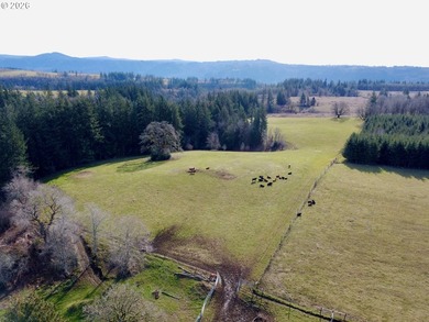 New Construction on a 38-acre ranch with the potential to expand - photo 21