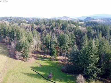 New Construction on a 38-acre ranch with the potential to expand - photo 22