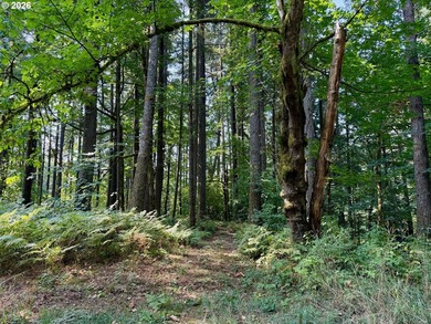 New Construction on a 38-acre ranch with the potential to expand - photo 24