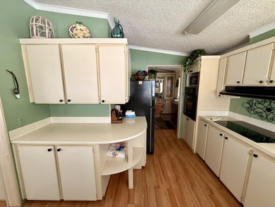 Welcome to this charming 2-bedroom, 2-bathroom manufactured home - photo 26
