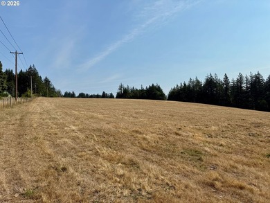 New Construction on a 38-acre ranch with the potential to expand - photo 26
