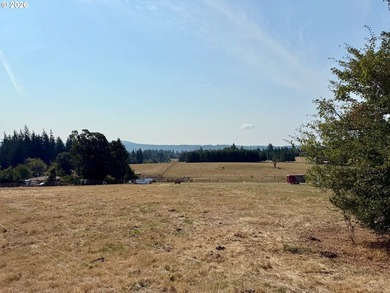 New Construction on a 38-acre ranch with the potential to expand - photo 27