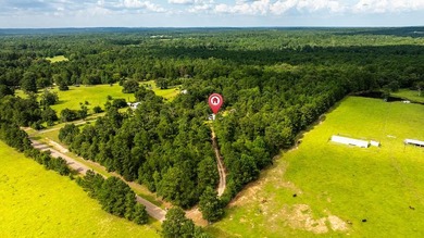 Tucked away among nearly 39 acres of towering timber, this East - photo 36