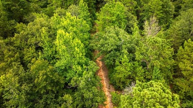 Tucked away among nearly 39 acres of towering timber, this East - photo 38
