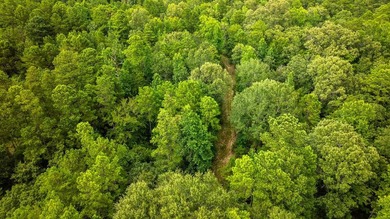 Tucked away among nearly 39 acres of towering timber, this East - photo 39