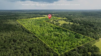 Tucked away among nearly 39 acres of towering timber, this East - photo 40