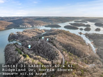WOW a 3 for 1!!!! The primary Lakefront Lot #31 is a whopping 14 - photo 1