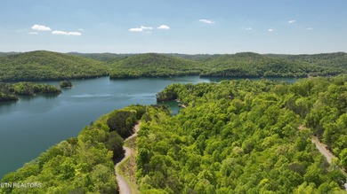 WOW a 3 for 1!!!! The primary Lakefront Lot #31 is a whopping 14 - photo 2