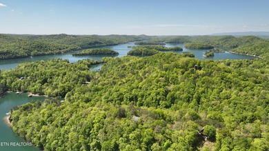 WOW a 3 for 1!!!! The primary Lakefront Lot #31 is a whopping 14 - photo 3