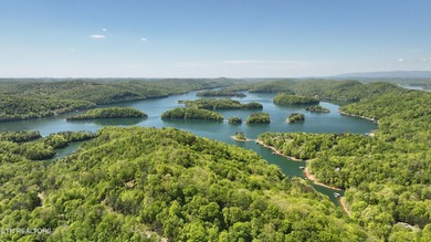 WOW a 3 for 1!!!! The primary Lakefront Lot #31 is a whopping 14 - photo 4