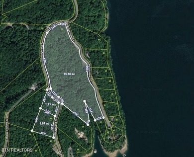 WOW a 3 for 1!!!! The primary Lakefront Lot #31 is a whopping 14 - photo 5