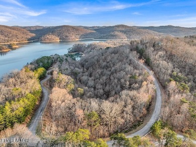 WOW a 3 for 1!!!! The primary Lakefront Lot #31 is a whopping 14 - photo 7