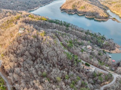 WOW a 3 for 1!!!! The primary Lakefront Lot #31 is a whopping 14 - photo 8