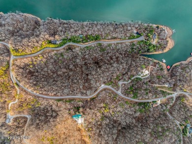 WOW a 3 for 1!!!! The primary Lakefront Lot #31 is a whopping 14 - photo 10
