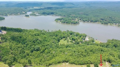 Build your dream home on these two adjoining lots totaling 2.49 - photo 11