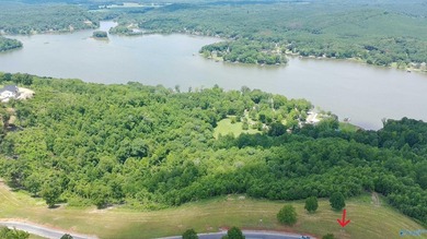 Build your dream home on these two adjoining lots totaling 2.49 - photo 13