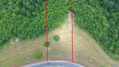 Build your dream home on these two adjoining lots totaling 2.49 - photo 17