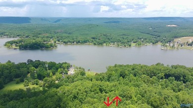 Build your dream home on these two adjoining lots totaling 2.49 - photo 18
