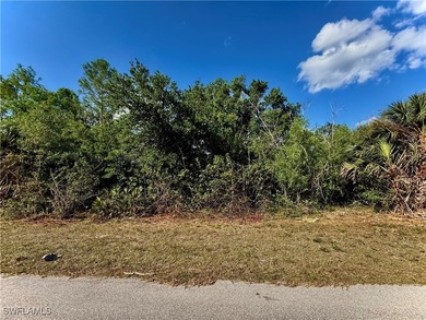 Lehigh Acres Area Lot For Sale in Lehigh Acres Florida