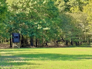 (private lake, pond, coastal) Acreage For Sale in Rolling Fork Mississippi