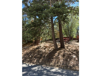 569 Yukon Dr. - photo 4