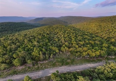 Kiamichi River Acreage For Sale in Clayton Oklahoma