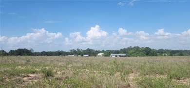 13.42 acres of open, grassy land. With a little TLC, this - photo 4