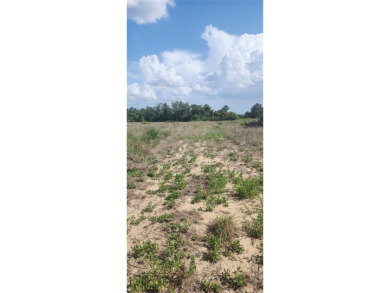 13.42 acres of open, grassy land. With a little TLC, this - photo 5