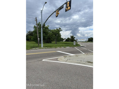 Multiple beautifully cleared, adjoining lots located with road - photo 2